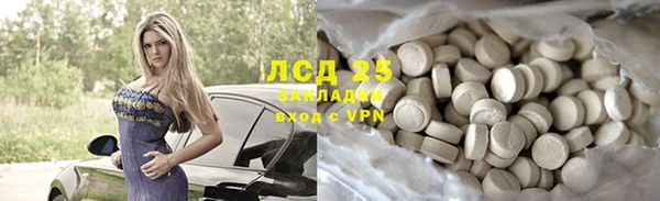 шишки Алексин