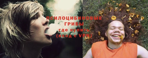 шишки Алексин