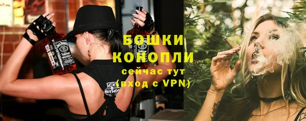 шишки Алексин