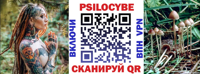 Галлюциногенные грибы прущие грибы  kraken как войти  Мамадыш  наркота 